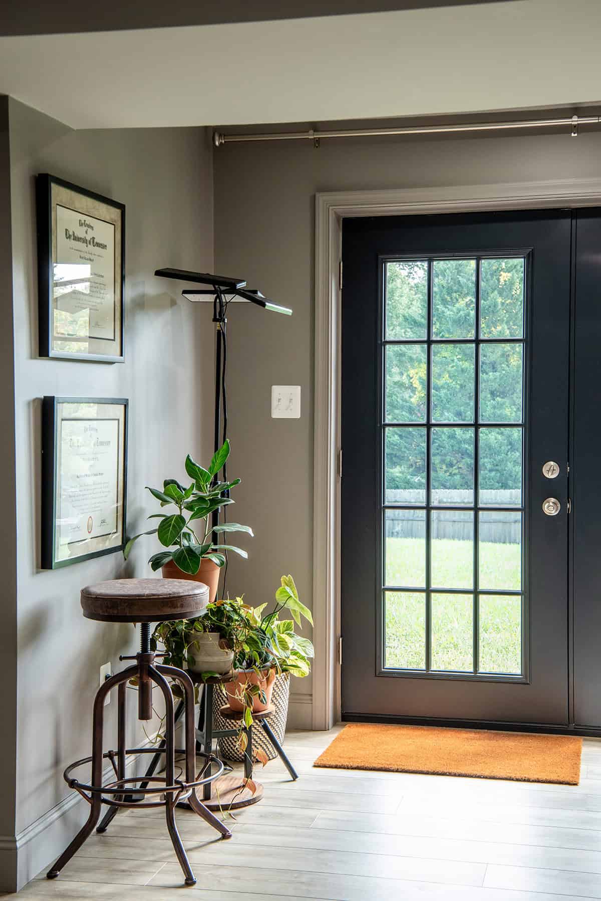 Plant corner with a black exterior French door and plant stand.