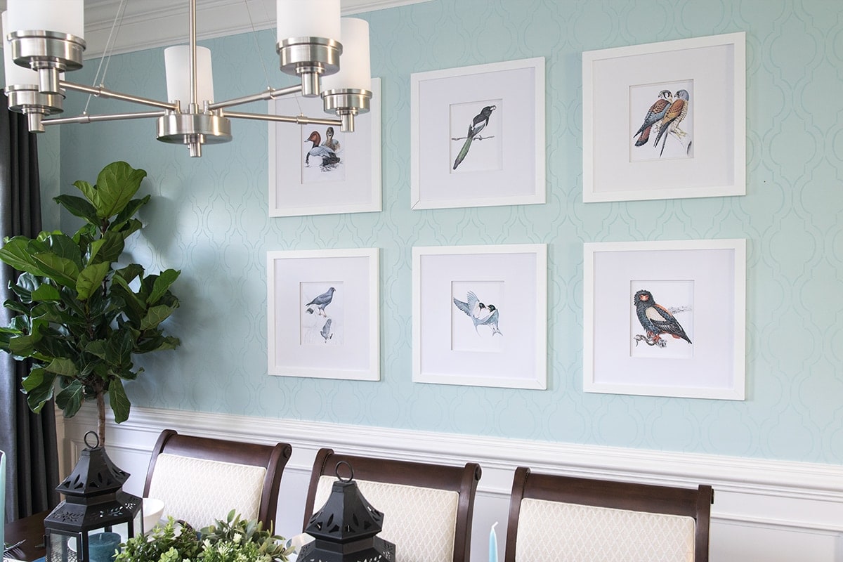 Soft blue stenciled dining room wall with white wainscoting. Set of white framed birdlife artwork, complimented with potted greenery.