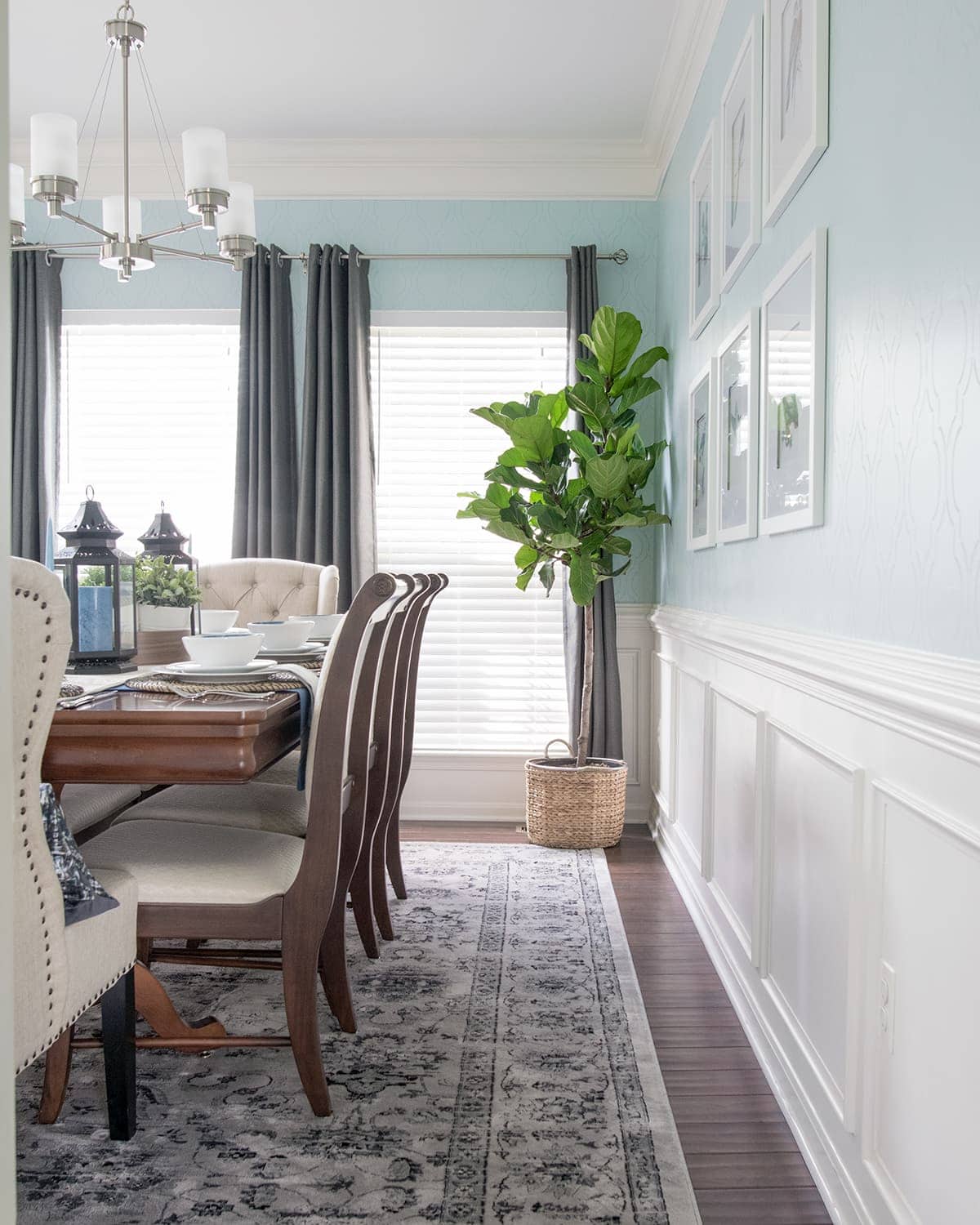 Side view of classic chic dining room. Soft blue walls with white wainscoting, potted plants, neutral rug, and gray curtains.