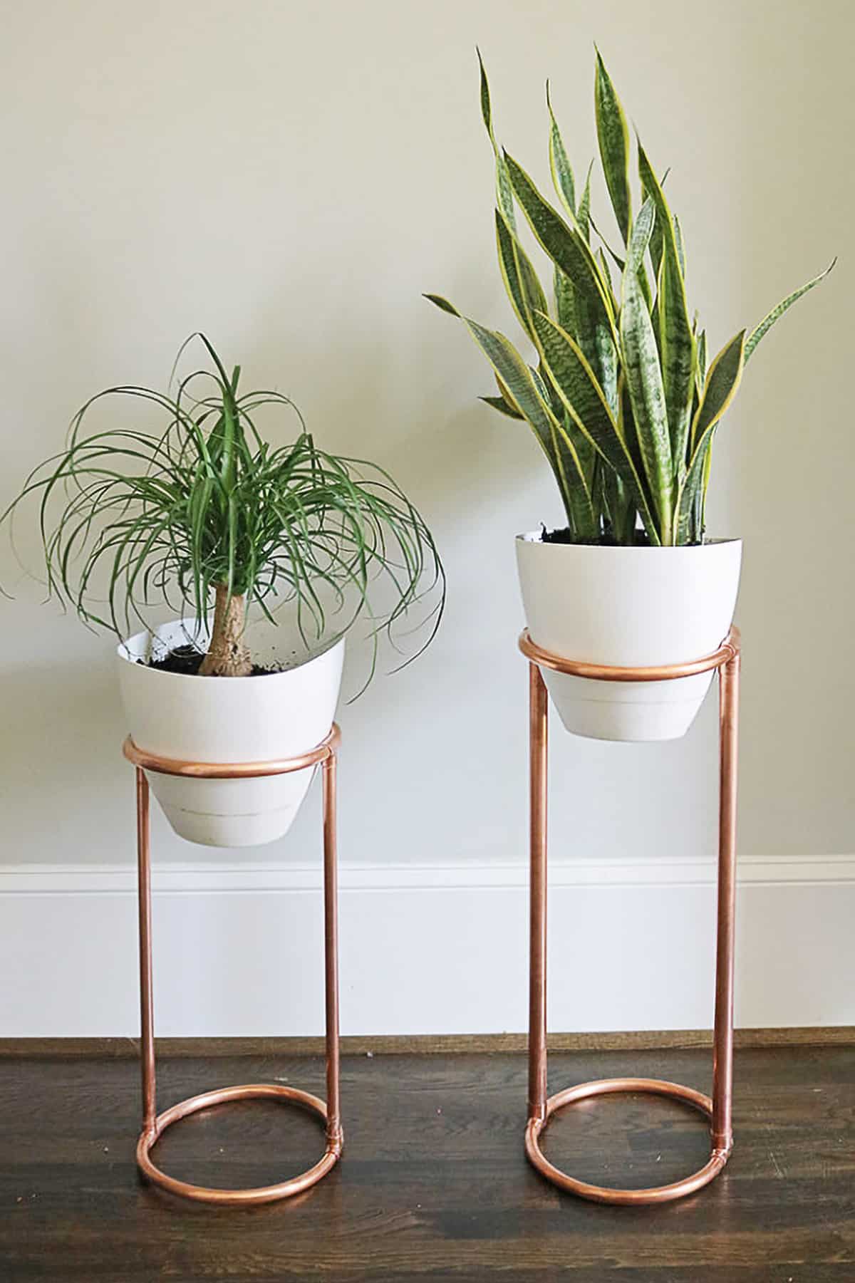 Two tall round copper pipe planters with white pots and green leafy plants.