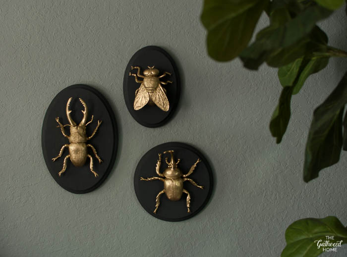 Metallic painted insect models on black plaques.
