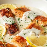 Filets of mahi-mahi in a skillet with garlic sauce, lemon slices, and fresh herbs.