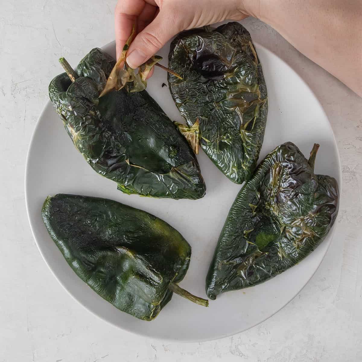 Overhead of Poblano Peppers being removed from their skins after roasting.