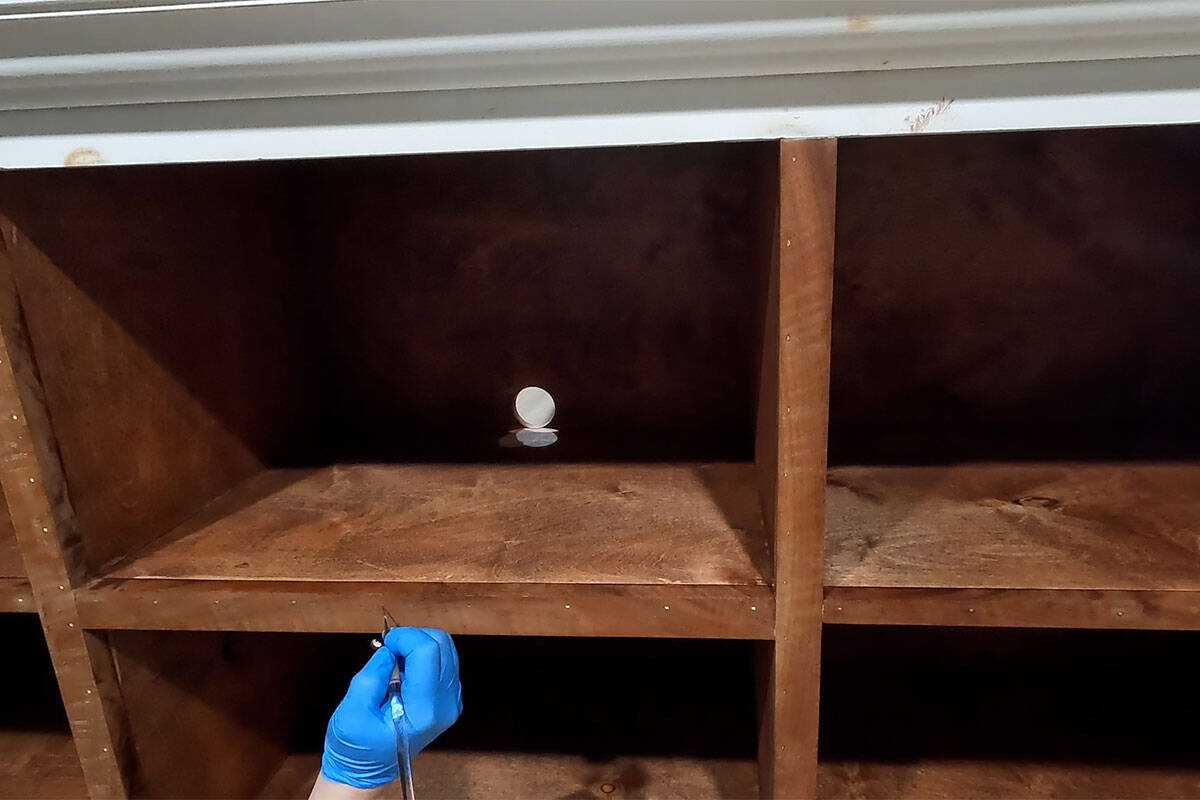 A hand staining dots of wood filler with a tiny paintbrush.