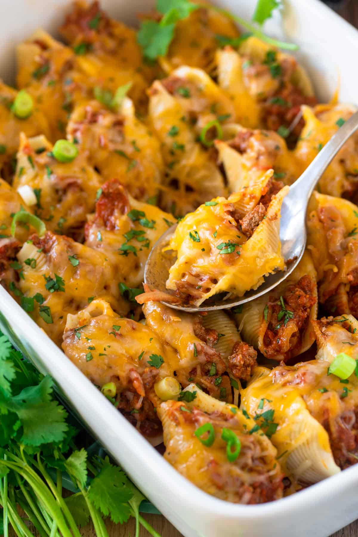 Taco stuffed shells in a large white pan with cilantro as garnish.