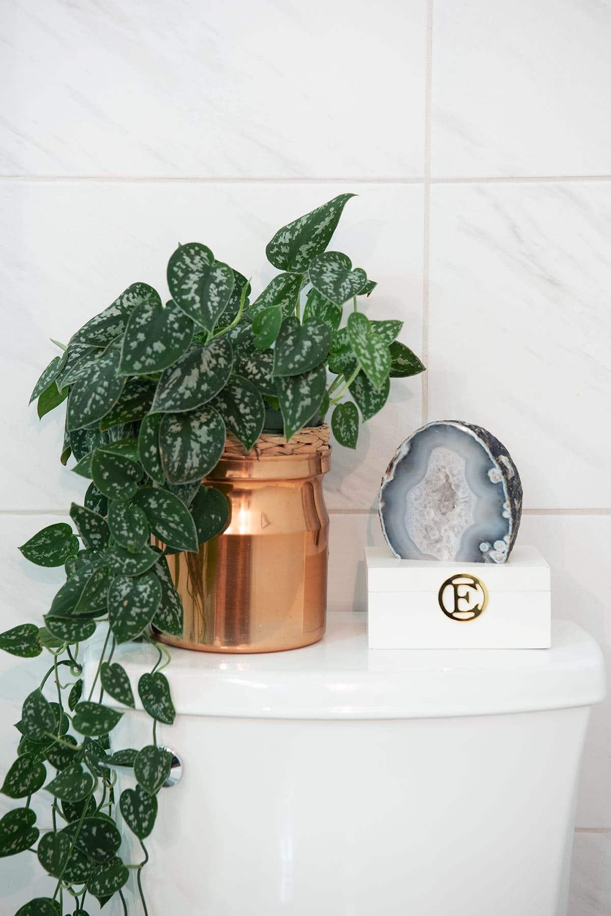 The back of a toilet in front of a tiled wall with a plant and storage on top.