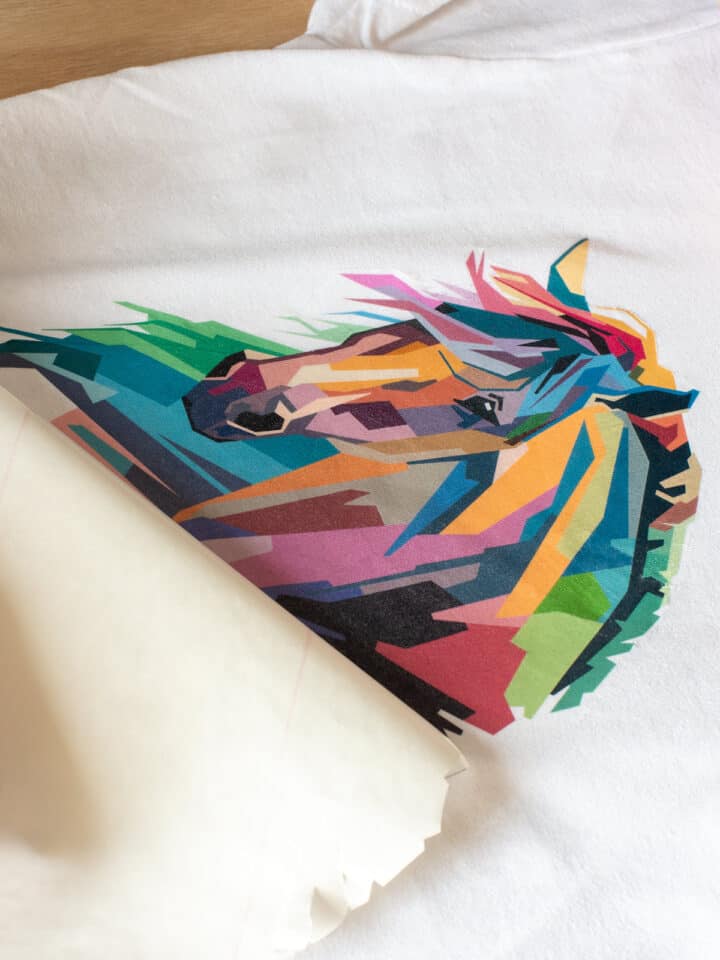 Final Photo Transfer of a Brightly Colored Horse Head