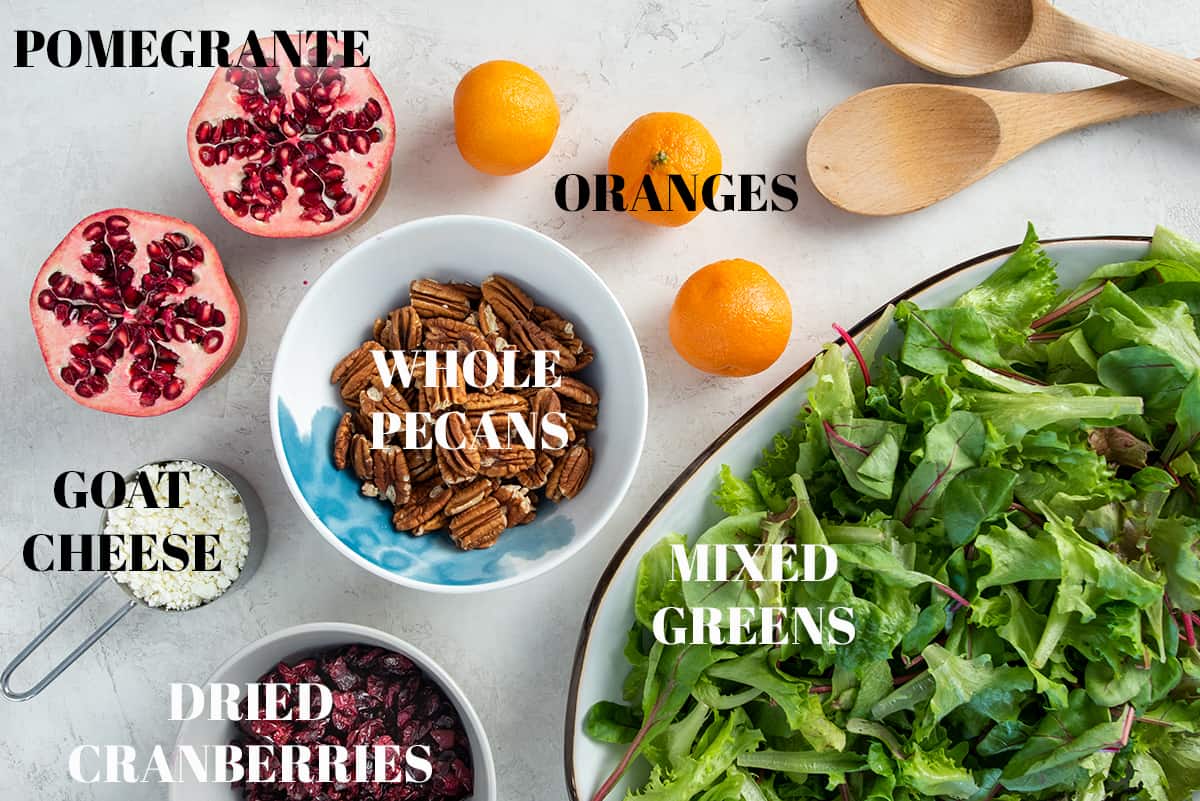 Ingredients to make Christmas salad or winter fruits salad with text labels.